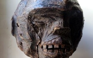 crest mask - wood skin - Nigeria