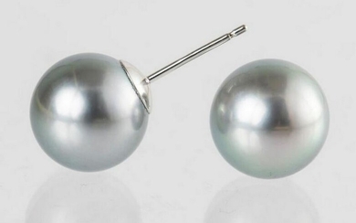 10x11mm Silvery Peacock Tahitian Pearls - 14 kt. White