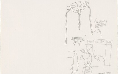 Jean-Michel Basquiat, Untitled (Insect Order)