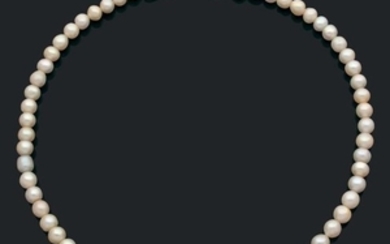 Grand collier composé d'une chute de 62 perles...