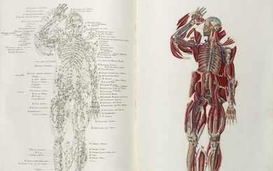 MASCAGNI, Paolo (1752-1815) - Anatomia universale