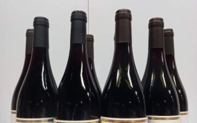 8 bouteilles de Bourgogne Pinot Noir 2019... - Lot 54 - Enchères Maisons-Laffitte