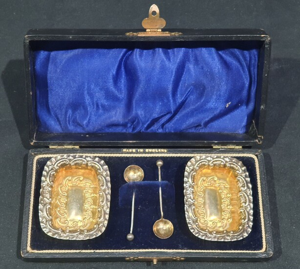 A CASED SET OF SILVER SALTS
