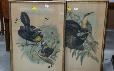 A Pair of Framed Lithographs