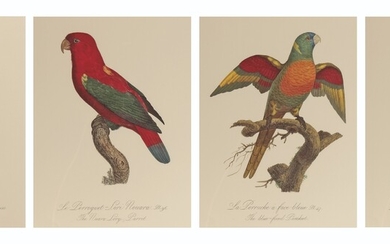 A SET OF TEN HAND-COLOURED ENGRAVINGS OF BIRDS FROM HISTOIRE NATURELLE DES PERROQUETS