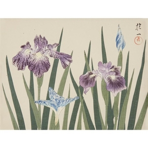 AFTER SAKAI HOITSU (japanese, 1761-1828) "BLOOMING IRISES" Circa 1920s....