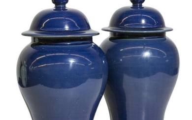 Chinese Cobalt Blue Temple Jars