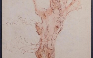 Corot : Tree Study