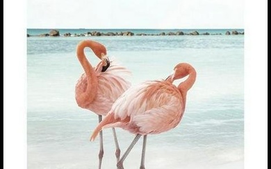 Flamingo Lovebirds Poster