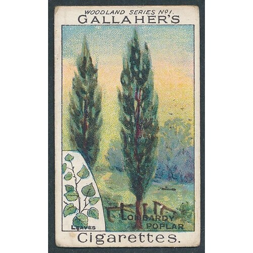 Gallaher. 1912 Woodland Trees Series set, in good to very go...