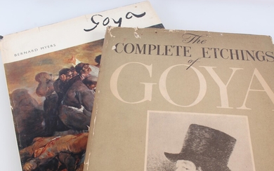 Goya Art Books Lot Of Two
