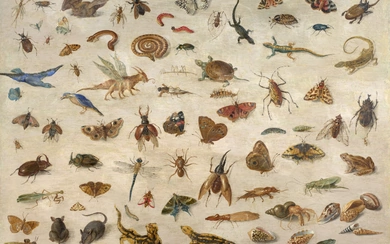 Jan van KESSEL l'Ancien Anvers, 1626 - 1679 Insectes, batraciens, coquillages et souris