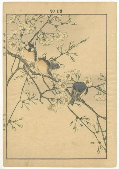 Keinen’s Flowers and Birds: 13. Cherry Blossoms