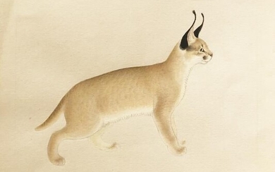 Lynx Painted by the "Raphael of Cats"