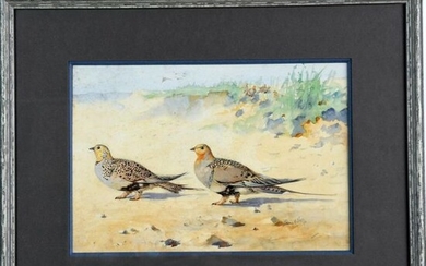 MAHLER P. "Ptarmigan pair". Watercolour signed and dated...