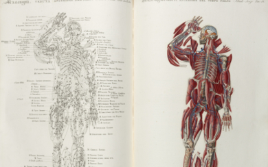 MASCAGNI, Paolo (1752-1815) - Anatomia universale, rappresentata con tavole in rame. Florence: V. Batelli e figli, 1833. Second edition. The...