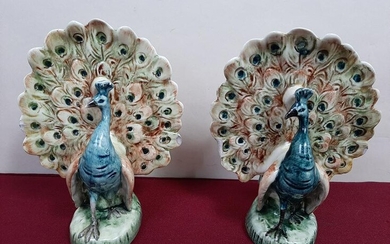Pr Majolica Peacocks
