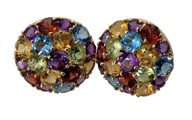 Pretty Multi-Color Semi-Precious Stone Earrings
