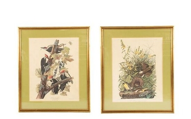 Set of 2 Audubon Birds of America Prints
