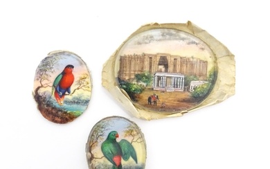 Two early 20thC watercolour miniature ornithological paintin...