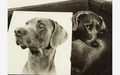 William Wegman (American, B. 1943) Double Portrait (plate VII from Man Ray: A Portfolio of 10 Photographs)