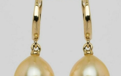 14 kt. Yellow Gold - 10x11mm Golden South Sea Pearl