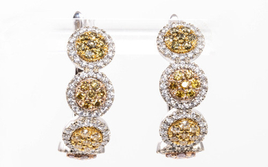 1.74ct Multi-coloured Diamond Earrings