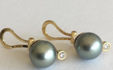 18 kt. Tahitian pearls, 10.4 mm - Earrings - Diamonds