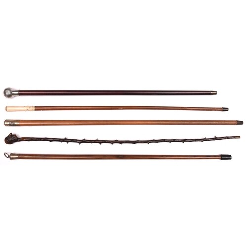 5 Walking Canes: malacca with bone top inset with ebony stud...