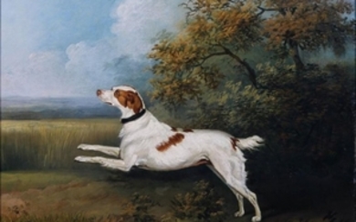 English Spaniel Oil Painting