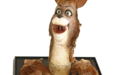 KANGAROO HEAD, 1980/90s, an original Spitting Image puppet head of a comical kangaroo with paws, ...