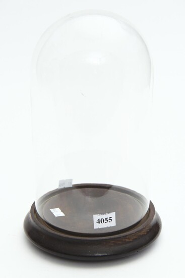 A WOODEN BASED GLASS DOME, 28 CM HIGH, LEONARD JOEL LOCAL DELIVERY SIZE: SMALL