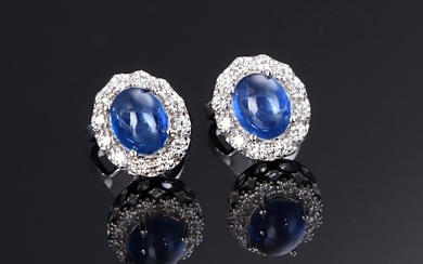 A pair of rosette earrings in 18 kt. white gold with sapphires and diamonds (2)