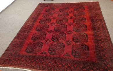 Afghan - Carpet - 268 cm - 216 cm