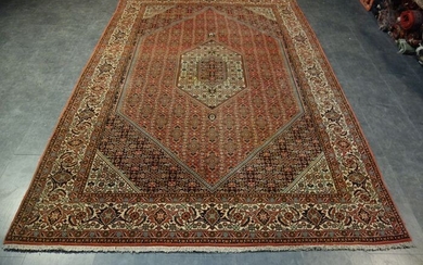 Bidjar iran - Carpet - 320 cm - 202 cm