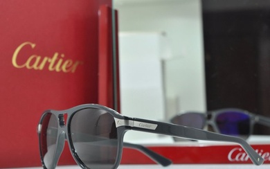 Cartier - Cartier - occhiali da sole Santos de Cartier T005792, forma pilota PLATINO sunglasses Sunglasses