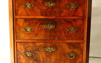 Chest of drawers - Louis XVI Style - Burrwood - 19th century