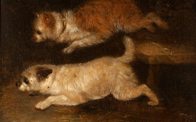 Circle of George Armfield (1808-1893) Terrier Dogs Ratting in Barn- 19th C Oil