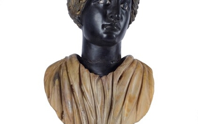 Anonimo, XIX sec., Classical female bust