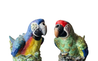 Coppia di pappagalli - Steffordshire, metà XX secolo