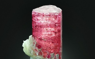 Fantastic TOURMALINE var. RUBELLITE with MUSCOVITE Crystal - 3.7×2×2 cm - 23.1 g