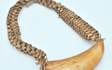 Fiji Whale Tooth Necklace