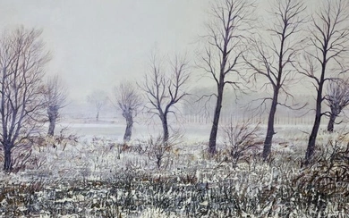 Frans van de Winkel (1923-1987) - Paysage hivernal aux arbres majestueux