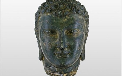 Head (1) - Black-ground - Stone - Buddha - GANDHARA - Afghanistan - Maharajadhiraja (3rd century)