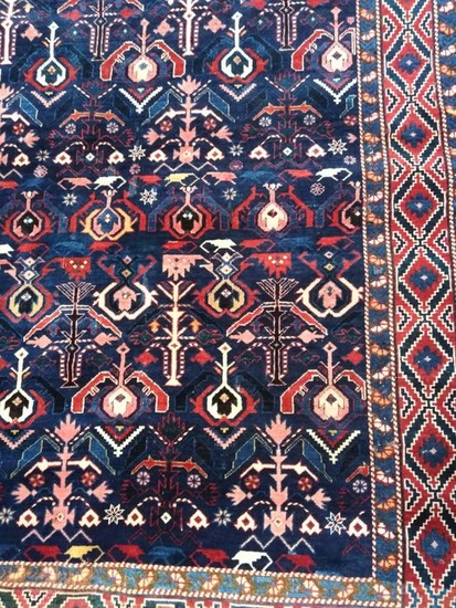 Kuba Schirwan - Carpet - 173 cm - 130 cm