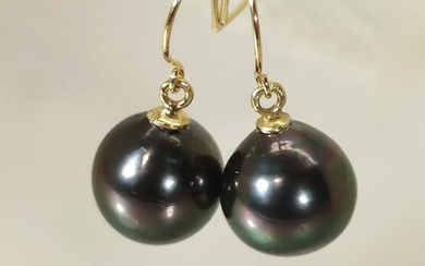 #LOW RESERVE PRICE# Strong Peacock natural colour - 18 kt. Tahitian pearl, Yellow gold - Earrings