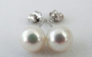 No Reserve Price - Akoya pearls, Premium 8,5 -9 mm - Earrings, 18 kt. White Gold