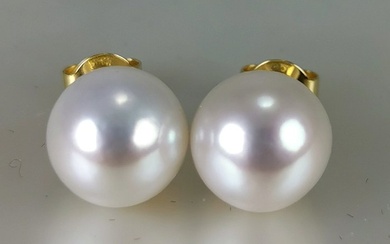 No Reserve Price - Freshwater pearls round earrings Ø 10 MM - Earrings - 18 kt. Yellow gold Pearl