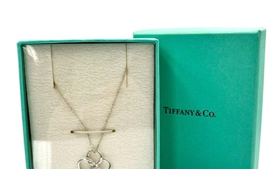 No Reserve Price - Tiffany & Co. - Necklace with pendant Silver