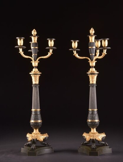 Pair of large two-tone candlesticks on beautiful lion legs and double function (2) - Charles X - Bronze (patinated), Ormolu - Early 19th century